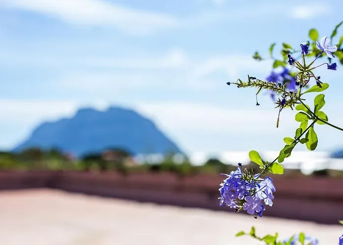 Relais Il Corallo 4* Porto San Paolo (Sardinia)